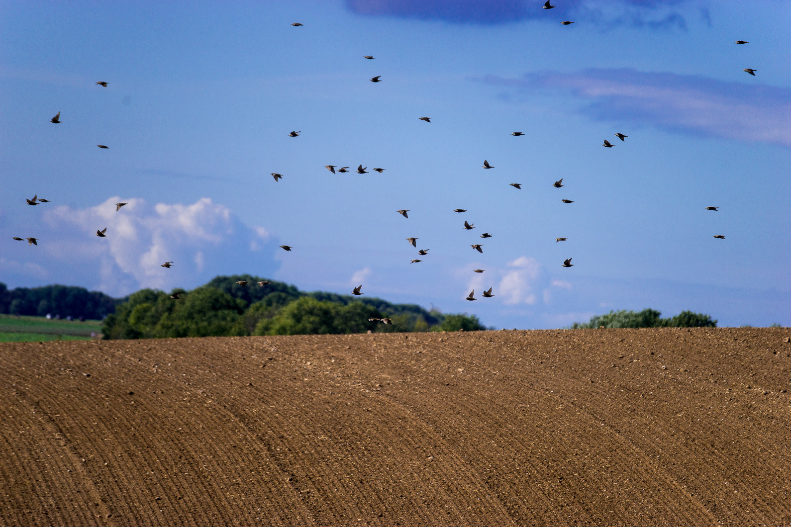20160921 131002 Kap Arkona   Putgarten